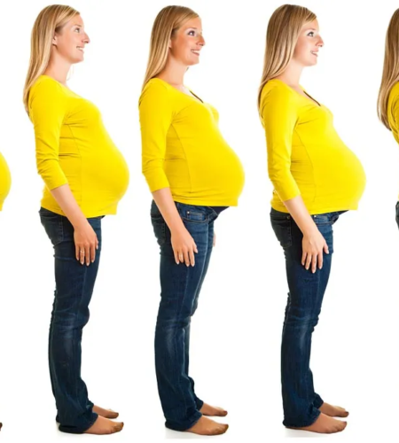 Pregnancy-pregnancy-birth-Fertilization-Birth-woman-Stages